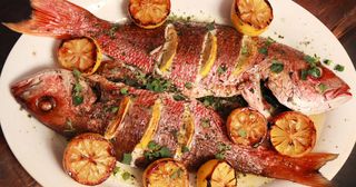 Assiette Poisson Grillés