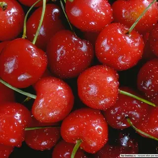 Черешня (100г)