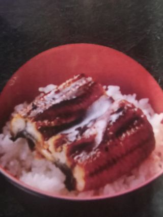 Yakimeshi Unagi