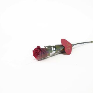 Single Rose (CF00149-S)