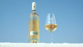 Vino blanco D.O. Rueda