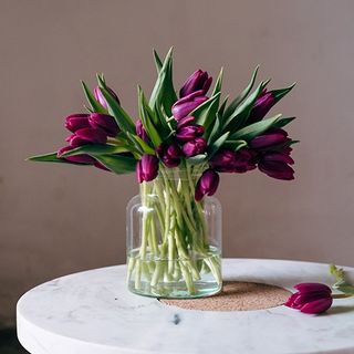 Jarrón con 20 tulipanes violetas