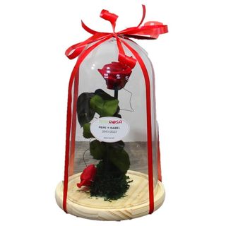 Bella y Bestia ROJA 742R