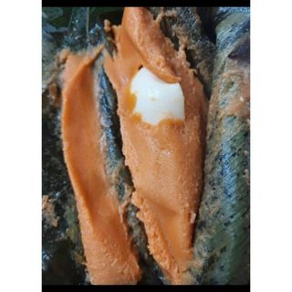 Moimoi (Elewe)