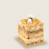 სენატორი