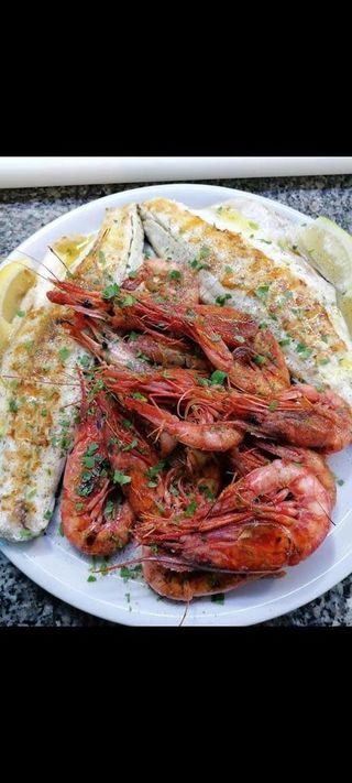 Grigliata di calamaro e spigola