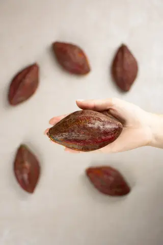 Cabossa - Monoporzione Frutta Realistica