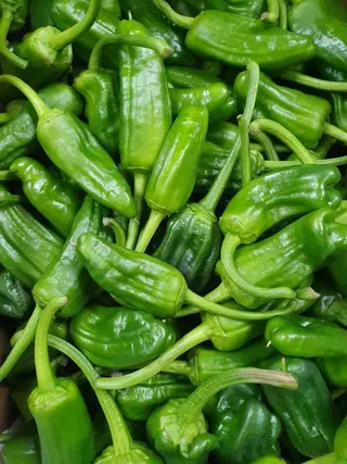 Pimiento Del País Para Freir Una Docena
