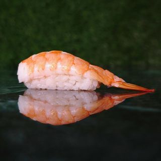 Nigiri ebi