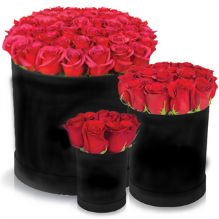 FLOWERBOX RED PREMIUM 30/40
