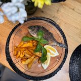 Ципура на скара