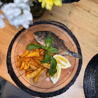 Ципура на скара