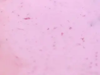 Соус хрінний (50g)