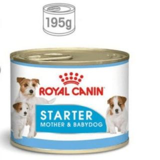 Royal Canin Starter Mousse 195g
