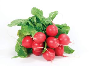 Ridichi Roz Romania Per Legatura