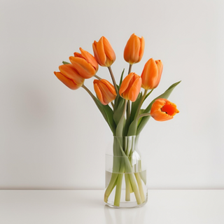 Paquete 10 Tulipanes Premium