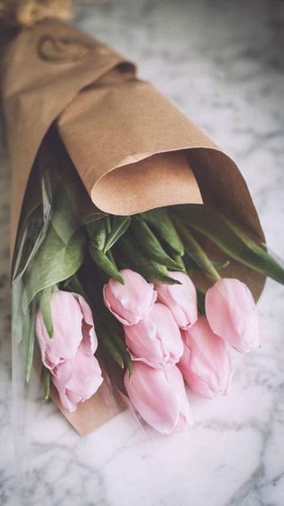 ვარდისფერი ტიტები