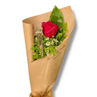Rosa rossa singola