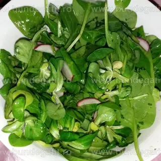 Salată A la Chef