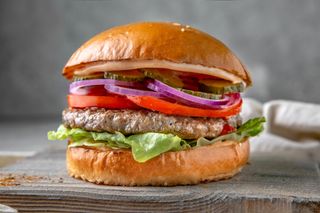 Hamburger