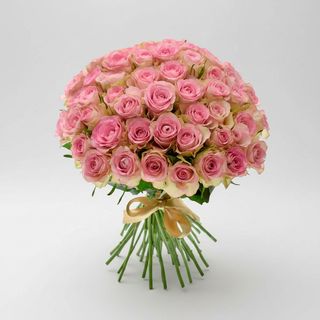 51 троянда Lovely Jewel (Кенія)