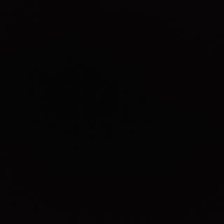 Muguri de bambus cu ciuperci 