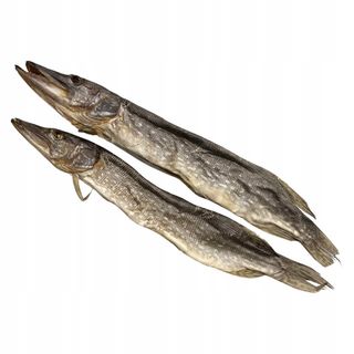 Szczupak Patroszony Suszony Szt. Ok. 200g