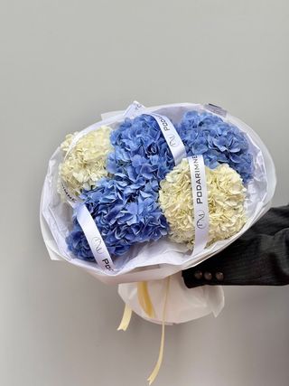 Букет из 5 гортензии (5шт)