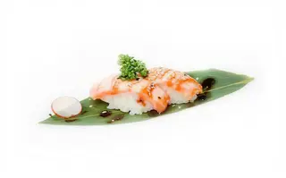 241 Sake burn - 2 pezzi