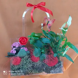 Borsa con piante 