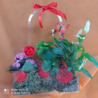 Borsa con piante 