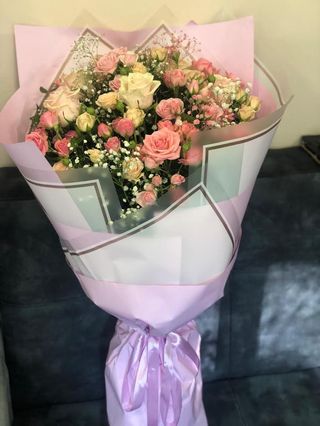 6.ვარდისფერი ჯუჯა ვარდები