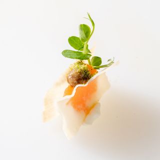 029 Takos salmon-1 pezzo