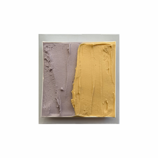 Quadrato di Gelato 250g