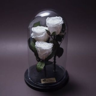 3 trandafiri criogenați albi în cupolă mare
