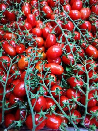 Pomodori datterino - 500gr