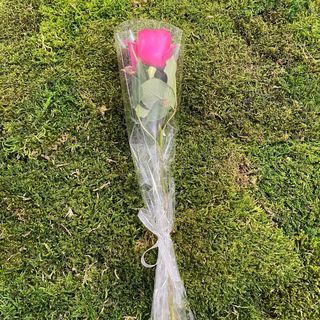 Rose Individuelle fuchsia 