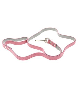 (105062) Povodac za psa 120cm 1113463