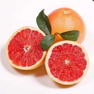 Grepfrut