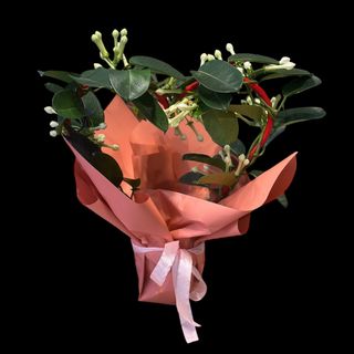 Stephanotis cadru inima