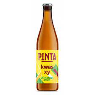 Pinta Kwas XY but.0,5l