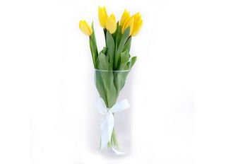 Жълти лалета 7 бр