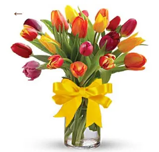 Tulips mix