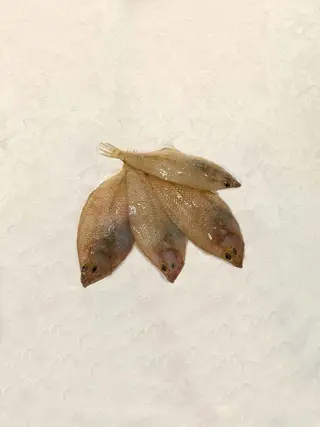 Pelaia (350 Gr.)