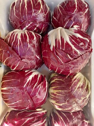 Radicchio cad 