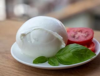 Antipasto di bufala Dop