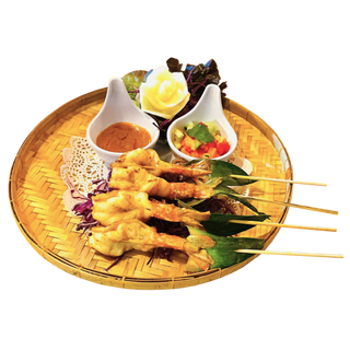 GUN SATE - 4 unidades