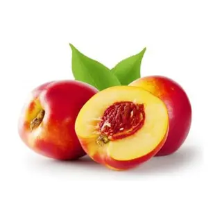 Nectarina