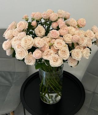 Róża gałązkowa beżowa