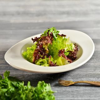 Mix zelenih salata